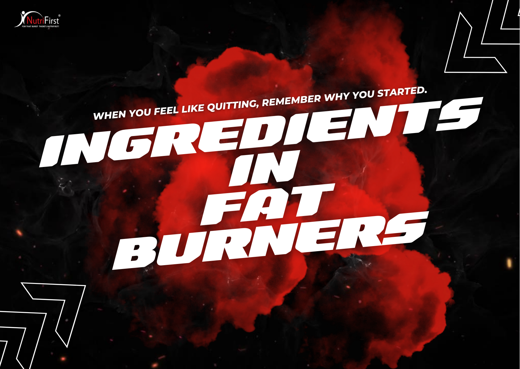 Main ingredients in Fat Burners